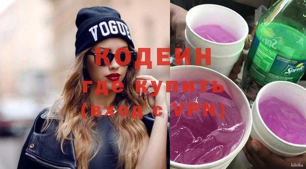 индика Бугульма